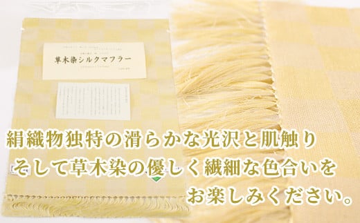 No.5657-2454]【長野刑務所作業製品・数量限定】手織り製品 絹100％ 草木染シルクマフラー《公益財団法人 矯正協会 長野営業所》 - 長野県須坂市｜ふるさとチョイス  - ふるさと納税サイト