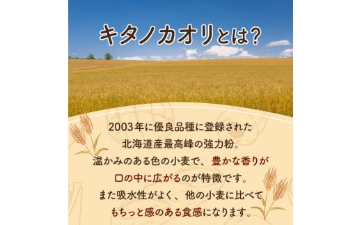 北海道岩見沢市のふるさと納税 寄附額改定↓ 『ガナッシュシフォンケーキ』ふわふわ石窯ガナッシュシフォン【19102】