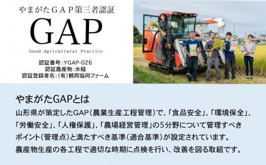 山形県鶴岡市のふるさと納税 【令和7年産 先行予約】 特別栽培米はえぬき 無洗米 10kg (5kg×2袋) 山形県鶴岡産　鶴岡協同ファーム