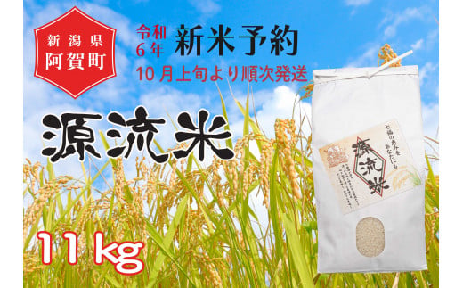 《令和6年産米》源流米　コシヒカリ11kg（1袋） ～七福の恵をあなたにも～	 1403236 - 新潟県阿賀町