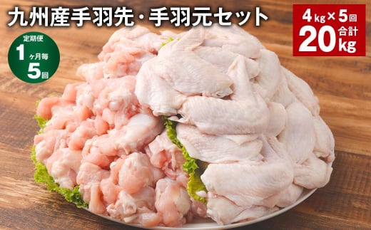 【1ヶ月毎5回定期便】 九州産手羽先・手羽元セット 計約20kg（約4kg✕5回） 鶏肉 手羽先 手羽元 1403494 - 熊本県菊池市