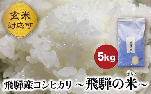 【令和6年産 新米】 飛騨産コシヒカリ 「飛騨の米」 白米（玄米対応可） 5kg  | 白米 玄米 こしひかり 精米 お米 飛騨高山 ファームジネンいいむら GG010 590722 - 岐阜県高山市