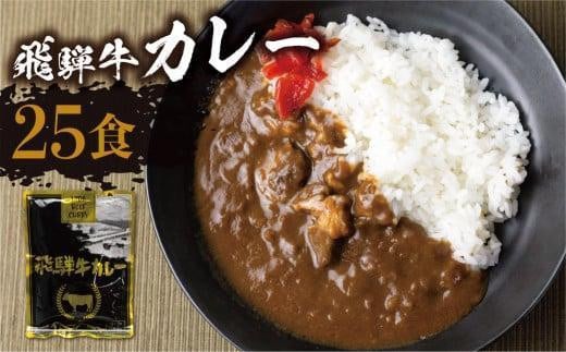 【8月発送】飛騨牛カレー (25袋) ビーフカレー 飛騨牛カレー 簡易包装 レトルトカレー ふるさと清見 DC008VC08 1196510 - 岐阜県高山市