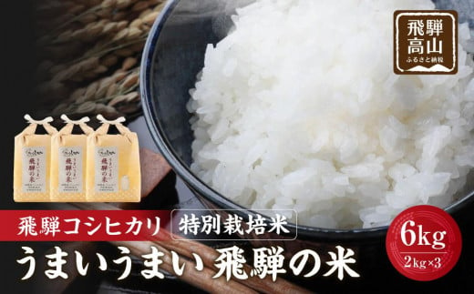 【令和6年産 新米】飛騨コシヒカリ 白米 6kg（2kg×3） 特別栽培米 うまいうまい飛騨の米 | こしひかり お米 精米したて 節減農薬米 のし対応 飛騨高山 ファームジネンいいむら GG005