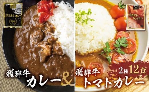 【3月発送】飛騨牛カレー (8袋) 飛騨牛トマトカレー (4袋)  簡易包装 飛騨牛 トマトカレー  レトルトカレー お手軽 ふるさと清見 DC004VC03 1079293 - 岐阜県高山市