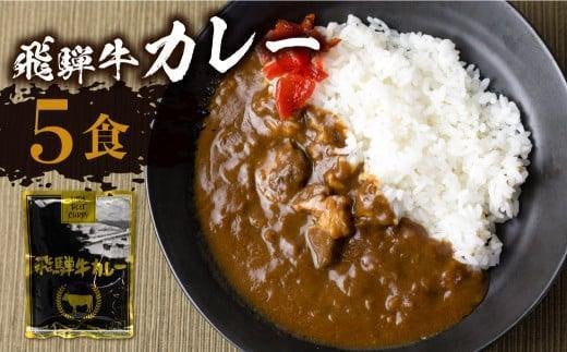 【5月発送】飛騨牛カレー (5袋) ビーフカレー 飛騨牛 カレー レトルトカレー  簡易包装 ふるさと清見  DC005VC05 1195313 - 岐阜県高山市