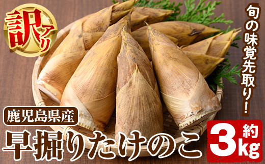 ＜先行予約受付中！2025年11月以降順次発送予定＞訳あり！鹿児島県産 早掘りたけのこ(約3kg) 国産 野菜 たけのこ タケノコ 筍 旬 煮物 水煮 天ぷら つくだ煮【松永青果】akn053-34