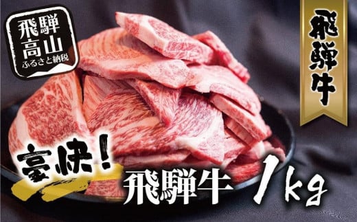 【6月発送】飛騨牛 訳あり焼肉1kg 切り落とし | 牛肉 訳あり 部位 大きさ不揃い 日付指定不可 冷凍 焼き肉 BBQ バーベキュー 切落し 和牛 ブランド牛 株式会社丸明 LR008VC06 598236 - 岐阜県高山市