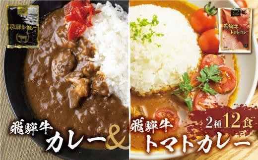 【9月発送】飛騨牛カレー (8袋) 飛騨牛トマトカレー (4袋)  簡易包装 飛騨牛 トマトカレー  レトルトカレー お手軽 ふるさと清見 DC004VC09 1195237 - 岐阜県高山市