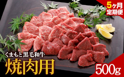 牛肉 くまもと黒毛和牛 焼肉用 500g 定期便 5回 株式会社KAM Brewing《お申込み月の翌月から出荷開始》 1461059 - 熊本県大津町