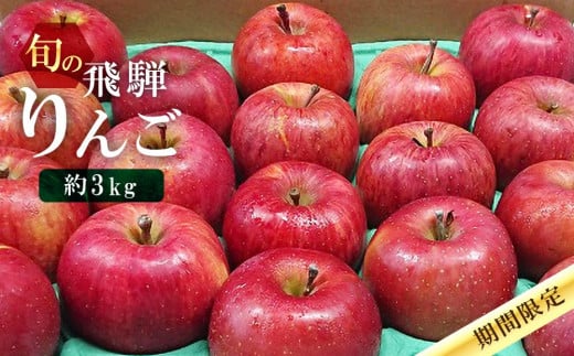 【先行予約】飛騨高山産 山本果樹園 旬の飛騨りんご 約3kｇ(8個～11個）| 9月中旬～ 順次発送 りんご 果物 フルーツ おいしい 大容量 飛騨高山 山本果樹園 MA002 956135 - 岐阜県高山市