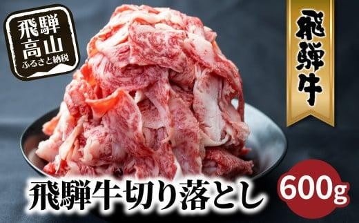 [11月発送]飛騨牛 訳あり 切り落とし600g (日付指定不可) | 牛肉 肉 訳あり 切落し すき焼き 高山市 不揃い 黒毛和牛 冷凍 人気 国産 薄切り 部位 お取り寄せ グルメ 高評価 レビュー (株)丸明 LR004VC11