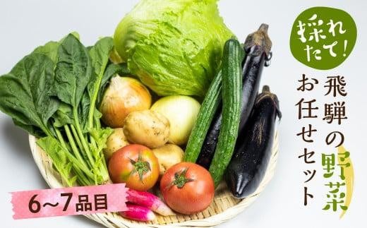 【2024年予約受付】飛騨 野菜セット 6～7点  飛騨高山産 野菜  秋野菜 おまかせ お取り寄せ 新鮮 産地直送 飛騨産 夏  秋 秋野菜  サラダ あじかファミリー GN002