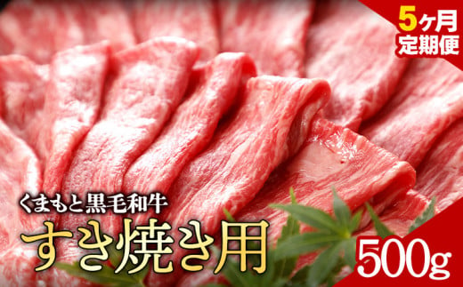 牛肉 くまもと黒毛和牛 すき焼き用 定期便 5回  株式会社KAM Brewing《お申込み月の翌月から出荷開始》 1461031 - 熊本県大津町