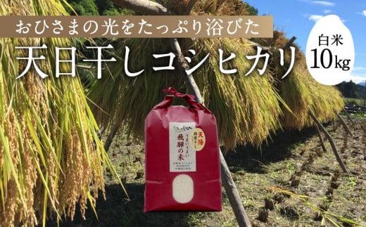 【令和6年産 新米】 天日干し コシヒカリ 白米 10kg | 飛騨産 こしひかり お米 特別栽培米 飛騨高山 ファームジネンいいむら GG002 1226445 - 岐阜県高山市