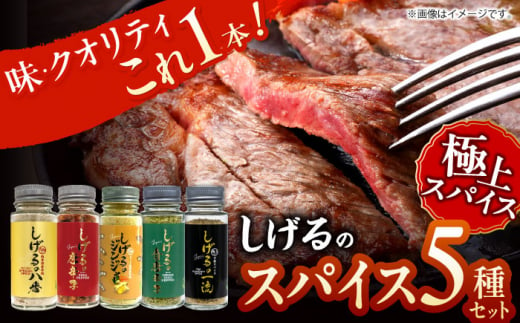 しげるのスパイス５本セット　/　スパイス　ジンジャー　肉　肉専門　オニオン　/　諫早市　/　株式会社飯盛グリーン開発 [AHCY017] 1403475 - 長崎県諫早市