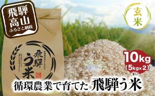 数量限定/先行受付】令和6年産 飛騨う米 7分づき米 5kg | 有機肥料100％ 米 白米 お米 受賞米 米コン3年連続特別優秀賞受賞米 飛騨高山  株式会社拳 GW001 - 岐阜県高山市｜ふるさとチョイス - ふるさと納税サイト