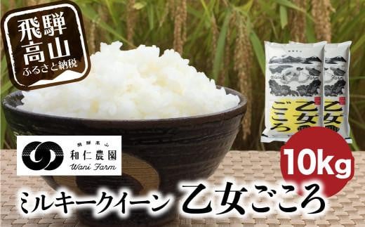 【令和6年度産 新米】もちもち食感の飛騨産ミルキークイーン「乙女ごころ」10kg(5kg×2) | 米 お米 白米 ご飯 ごはん 飛騨高山 和仁農園 MF007 586353 - 岐阜県高山市