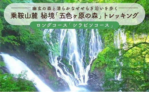 2023・24年度シーズン 乗鞍山麓 秘境「五色ヶ原」トレッキングロングコース「シラビソコース（所要8時間）」 2名分 MK002