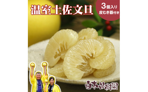 温室土佐文旦 Lサイズ 3個入り 柑橘皮むき器付き お得箱 ブンタン ぶんたん 土佐文旦 フルーツ 果物 くだもの 柑橘 旬 訳あり わけあり ご自宅用 ご家庭用 おいしい 甘い