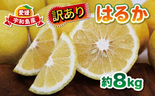 訳あり はるか 8kg 大田農園 果物 フルーツ 柑橘 みかん 蜜柑 数量限定 産地直送 農家直送 国産 愛媛 宇和島 B010-121003 1275958 - 愛媛県宇和島市