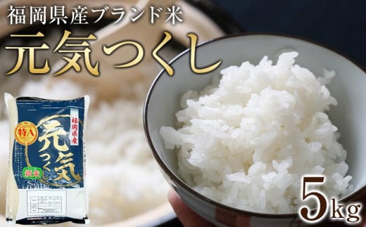 ＜令和6年産＞福岡県産ブランド米「元気つくし」白米5kg 【米 ブランド米 ブランド 白米 元気つくし 令和6年産 家庭用  お取り寄せ お土産 福岡県産 取り寄せ グルメ 福岡県 筑前町 CE014】 1104982 - 福岡県筑前町