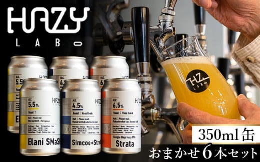 No.369 HAZY LABOの350ml缶おまかせ6本セット ／ お酒 ビール 発泡酒 埼玉県 1486658 - 埼玉県狭山市