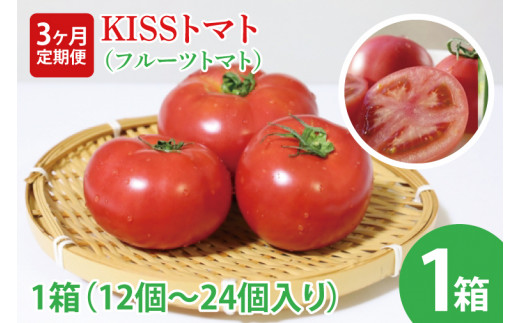 【2026年2月より順次発送】【3ヶ月定期便】★フルーツトマト★KISSトマト 1箱｜トマト とまと フルーツ フルーツトマト KISSトマト 先行予約 定期便 茨城県 行方市(AC-5) 1403863 - 茨城県行方市