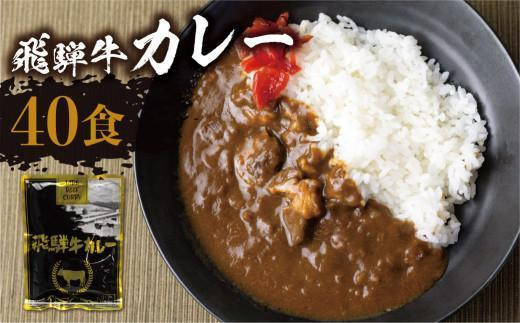 【8月発送】飛騨牛カレー (40袋) ビーフカレー 飛騨牛 カレー 簡易包装  レトルトカレー お手軽  ふるさと清見 DC009VC08 1196541 - 岐阜県高山市