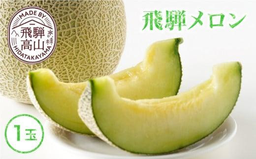 【数量限定】 2024年 予約受付 先行予約 飛騨メロン 1玉 ≪先行予約 2024年8月頃より順次発送≫ 飛騨高山産 メロン めろん 高冷地 果物 くだもの フルーツ 期間限定 数量限定 飛騨高山 宿儺さま  KA012 594054 - 岐阜県高山市