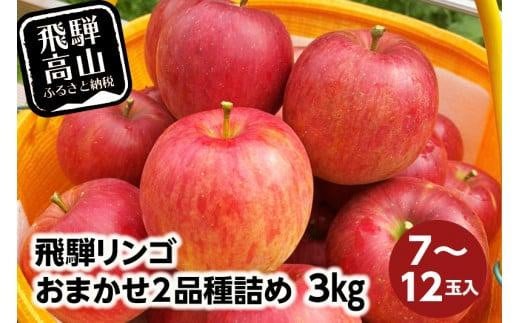 飛騨リンゴ 3kg 7-12玉入り おまかせ２品種 食べ比べ 果物 りんご フルーツ 9月 10月 11月 季節もの 飛騨高山 ぜんぞう果樹園 FX001 597388 - 岐阜県高山市