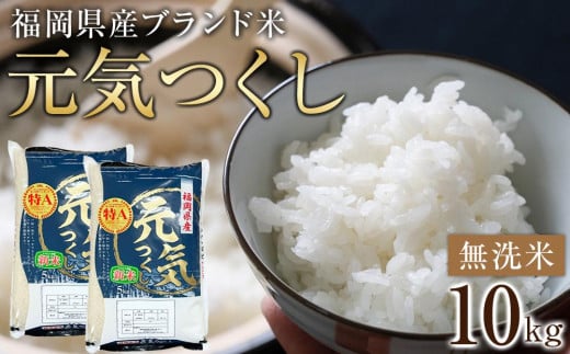 [令和7年産]福岡県産ブランド米「元気つくし」無洗米10kg [筑前町][米 ブランド米 ブランド 白米 元気つくし 令和7年産 10kg 10キロ 無洗米 家庭用 お取り寄せ お土産 福岡県産 取り寄せ グルメ 福岡県 筑前町 CE005]