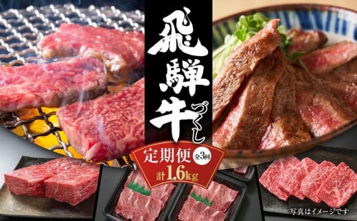 【定期便】飛騨牛（全３回）（ステーキ /焼肉 / ブロック[塊] ) 計1.6kg 全3回  | 焼肉 ステーキ カルビ  牛 定期 【飛騨高山ミート MZ101】 1233274 - 岐阜県高山市