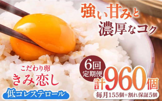 【6回定期便】きみ恋し 160個（155個+割れ保証5個）×6ヶ月 総計960個 広川町/伊藤養鶏場 [AFAJ017] 1528661 - 福岡県広川町