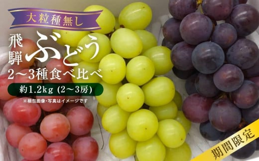 【先行予約】山本果樹園 季節の大粒種無しぶどう 詰め合わせ 約1.2kg（2房～3房）| 9月中旬～順次発送 果物 フルーツ おいしい ぶどう 種なし 飛騨高山 山本果樹園 MA001 956134 - 岐阜県高山市