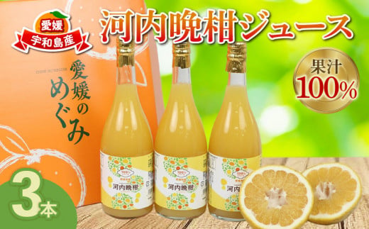 果汁100% 河内晩柑 ストレートジュース 720ml 3本 矢野青果 100％ みかん ジュース みかんジュース かわちばんかん 晩柑 果汁 飲料 飲み物 果物 くだもの フルーツ さっぱり 蜜柑 mikan ギフト 産地直送 数量限定 国産 愛媛 宇和島 H010-171015 1417916 - 愛媛県宇和島市