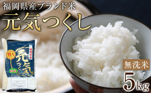 [令和7年産]福岡県産ブランド米「元気つくし」無洗米5kg [米 ブランド米 ブランド 白米 無洗米 元気つくし 令和7年産 家庭用 お取り寄せ お土産 福岡県産 取り寄せ グルメ 福岡県 筑前町 CE013]