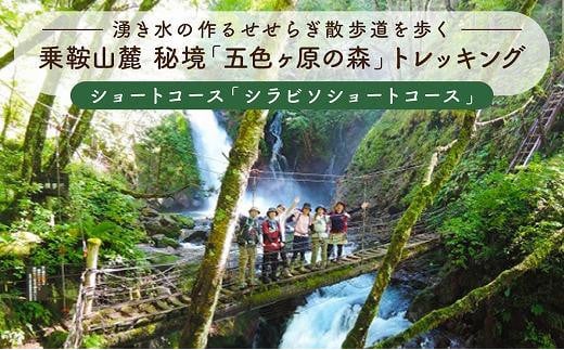 2023・24年度シーズン 乗鞍山麓 秘境「五色ヶ原」トレッキングショートコース「シラビソショートコース（所要4:30）」3名分  MK006