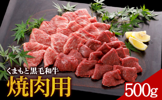 牛肉 くまもと黒毛和牛 焼肉用 500g 株式会社KAM Brewing《30日以内に出荷予定(土日祝除く)》 1461043 - 熊本県大津町