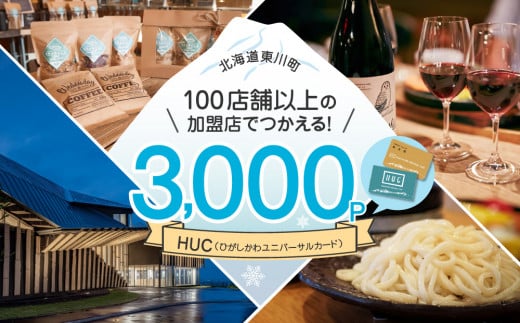 HUCポイント　¥3,000分 1486576 - 北海道東川町