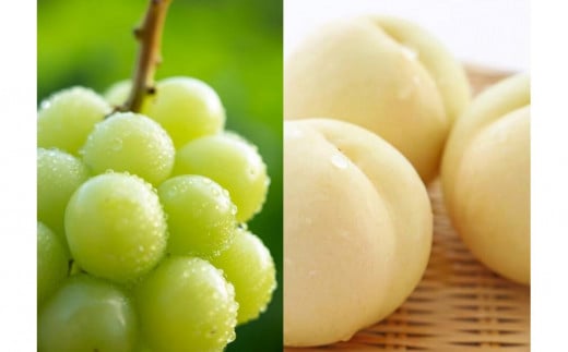 【定期便】先行予約 2025年 フルーツ  岡山の旬な果物  白桃（早生、中生種）約2kg 6~9玉/シャインマスカット 大房1房 約800g 贈答用 岡山市産 果物 ギフト 横木農園 1388678 - 岡山県岡山市