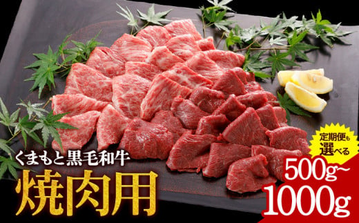 牛肉 くまもと黒毛和牛 焼肉用 500g 定期便 2回 5回 1000g 株式会社KAM Brewing[選べる出荷時期]