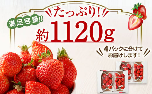 4月発送！「博多あまおう」約280g×4パック【ほたるの里】_HA0526 254832 - 福岡県宗像市