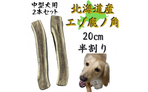 鹿の角 半割り 20cm 2本 犬のおもちゃ デンタルケア  中型犬用【1420488】 1414794 - 北海道帯広市