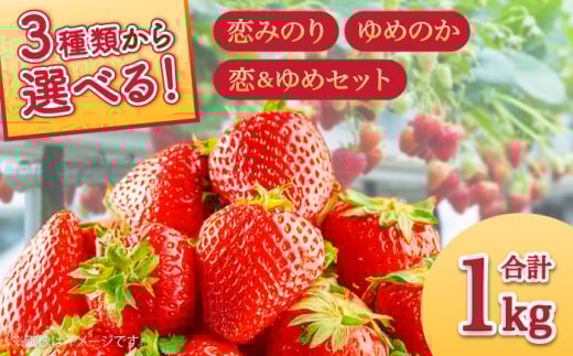 訳あり】【数量限定】冷凍 カットいちご「恋みのり」 加工用 約 訳あり】【数量限定】冷凍 カットいちご「恋みのり」 加工用 約