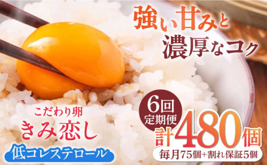 【6回定期便】きみ恋し 80個（75個+割れ保証5個）×6ヶ月 総計480個 広川町/伊藤養鶏場 [AFAJ013] 1528657 - 福岡県広川町