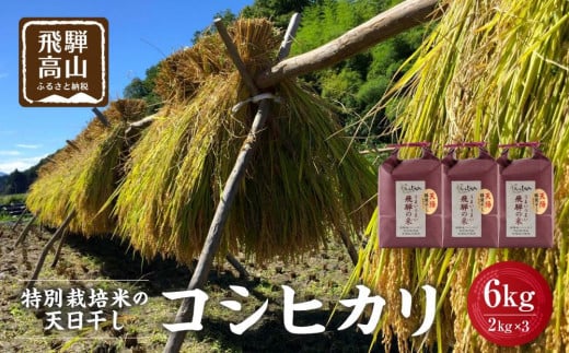 【令和6年産 新米】天日干し コシヒカリ 白米 6kg（2kg×3）飛騨産 特別栽培米 | こしひかり 精米したて お米 節減農薬米 のし対応 飛騨高山 ファームジネンいいむら GG004 1349361 - 岐阜県高山市