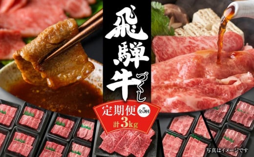 【定期便】飛騨牛 全５回（焼肉・すき焼き・ステーキ）計3kg | 焼肉 ステーキ カルビ 食べ比べ 牛 定期【飛騨高山ミート MZ100】 1233199 - 岐阜県高山市