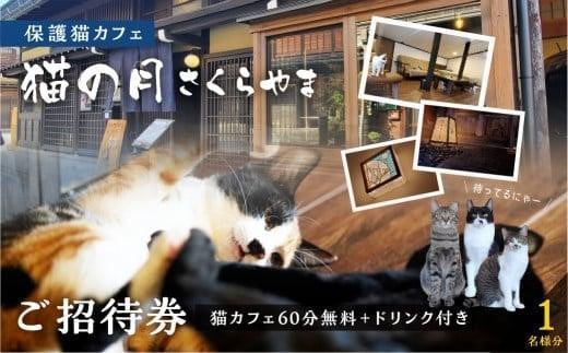 猫の月さくらやまご招待券2名様分（猫カフェ60分無料＋ワンドリンク付き）　ネコカフェ チケット 猫 ねこ ドリンク付き 古民家カフェ 保護猫 猫の月 さくらやま LM006 659978 - 岐阜県高山市