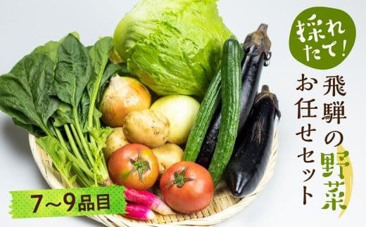 【2024年予約受付】飛騨 野菜セット 7～9点 セット 飛騨高山産 野菜  秋野菜 おまかせ お取り寄せ  新鮮 産地直送 飛騨産 野菜 夏  秋 秋野菜  サラダ    あじか GN001